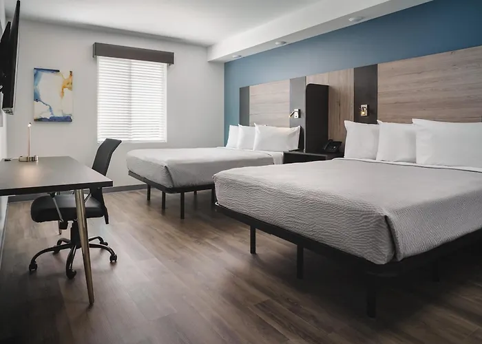 Stayapt Suites College Station
